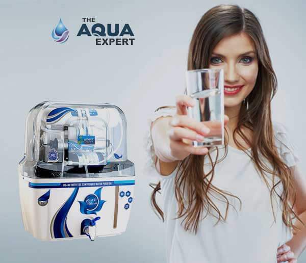 The AquaExpert
